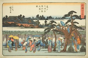 Glicynia w pełnym rozkwicie na terenie świątyni Kameido Tenmangu (Kameido Tenmangu keidai fuji hanazakari no zu), z serii „Nowo wybrane słynne miejsca w Edo (Shinsen Edo meisho)” autorstwa Utagawa Hiroshige