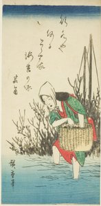 Kobieta zbierająca wodorosty autorstwa Utagawa Hiroshige