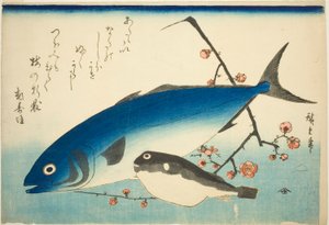 Żółć ogoniasty, rozdymka i śliwka gałązka autorstwa Utagawa Hiroshige
