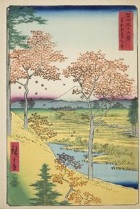 Yuhi Hill w Meguro we wschodniej stolicy (Toto Meguro Yuhigaoka), z serii „Trzydzieści sześć widoków na górę Fuji (Fuji sanjurokkei)” autorstwa Utagawa Hiroshige