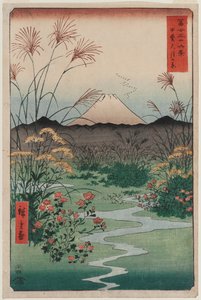 Równina ōtsuki w prowincji Kai (Kai ōtsuki no hara), z serii Trzydzieści sześć widoków góry Fuji autorstwa Utagawa Hiroshige