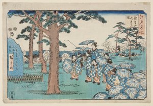 Wiśniowy widok na wzgórzu Asuka (Asukayama hanami no zu) (kolorowy drzeworyt)