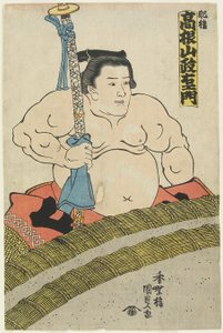Zapaśnik Takaneyama Seiemon ze stajni Higo, 1830-1844 autorstwa Utagawa Kunisada