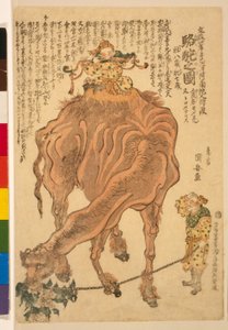 Wielbłąd, wyd. 1824 (drzew ręcznie kolorowany) autorstwa Utagawa Kuniyasu