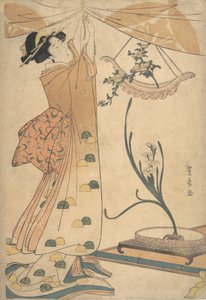 Kobieta zawiązująca zasłonę, kompozycja kwiatowa z chryzantem w kapeluszu w kształcie łódki..., ca. 1805. autorstwa Utagawa Toyohiro