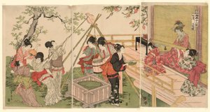 Siódmy miesiąc, z cyklu Dwanaście miesięcy Dwóch Artystów (Ryoga juni ko) autorstwa Utagawa Toyohiro