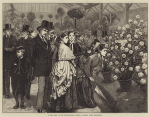 Pokaz róż w ogrodach Towarzystwa Ogrodniczego, South Kensington