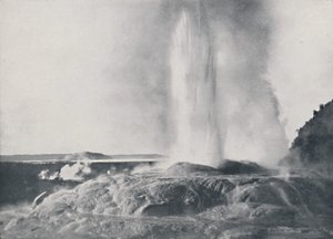 Gejzer, Nowa Zelandia, 1924 autorstwa Valentine and Sons Ltd