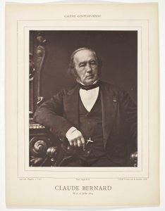 Claude Bernard autorstwa Valéry