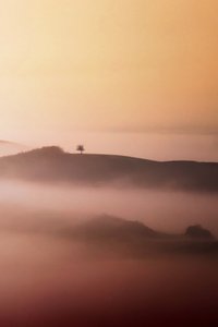 Lone Tree Złota Mgła autorstwa Vanja Tajnsek