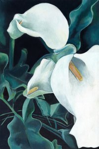 Eleganckie białe lilie calla