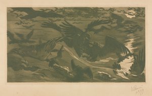 Drapieżne ptaki, 1893.