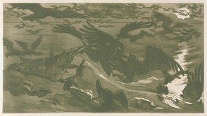 Drapieżne ptaki, 1893.