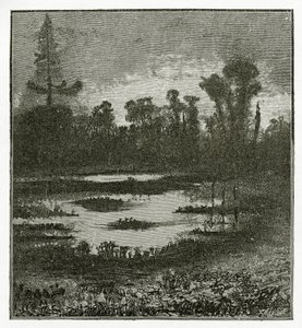 Les Chants du Crépuscule, XIX w. (rycina bw) autorstwa Victor Hugo