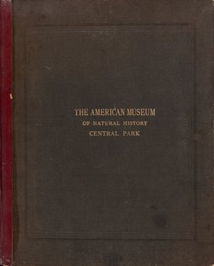 Album fotograficzny Amerykańskiego Muzeum Historii Naturalnej, Central Park, Nowy Jork