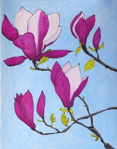 Fioletowe kwiaty magnolii autorstwa Viktoriia Saunina