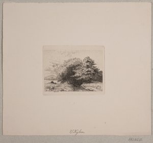 Skraj lasu autorstwa Vilhelm Kyhn