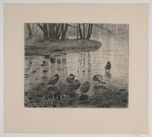 Kaczki autorstwa Vilhelm Th. Fischer