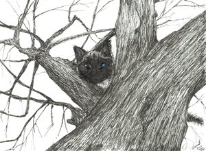 Jabłoń Baby, 2015, (tusz na papierze) autorstwa Vincent Alexander Booth