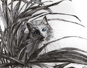 Zakład Monty, 2015, (tusz na papierze) autorstwa Vincent Alexander Booth