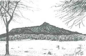 Góra z klubu łodziowego nad jeziorem Naivasha w Kenii; 2006 autorstwa Vincent Alexander Booth