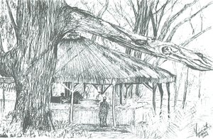 Bar na świeżym powietrzu, jezioro Naivasha, 2006; (tusz na papierze) autorstwa Vincent Alexander Booth
