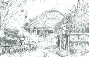 Pokoje w hotelu, Jezioro Naivasha, 2006 autorstwa Vincent Alexander Booth