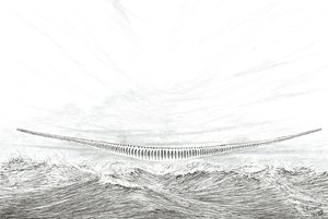 Twórcy burzy, Cape Leveque, 2023 autorstwa Vincent Alexander Booth