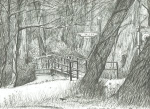 Stary metalowy most, Bramhall park, 2004 autorstwa Vincent Alexander Booth