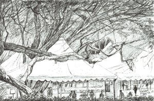 Namioty weselne nad jeziorem Nawesha w Kenii, 2003 autorstwa Vincent Alexander Booth