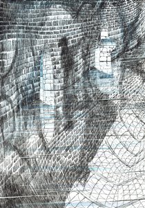 s.17, Zamek w lesie Findhorn, 2006, (tusz na papierze) autorstwa Vincent Alexander Booth
