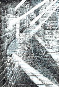 str.25, Zamek w lesie Findhorn, 2006, (tusz na papierze) autorstwa Vincent Alexander Booth