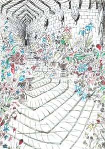 str.37, Zamek w lesie Findhorn, 2006, (tusz na papierze) autorstwa Vincent Alexander Booth