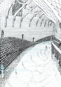 str.41, Zamek w lesie Findhorn, 2006, (tusz na papierze) autorstwa Vincent Alexander Booth