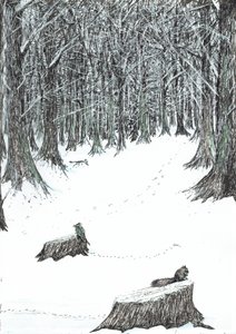 str.5, Zamek w lesie Findhorn, 2006, (tusz na papierze) autorstwa Vincent Alexander Booth