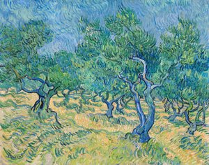 Gaj oliwny, 1889. autorstwa Vincent van Gogh