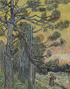 Sosny o zachodzie słońca, 1889. autorstwa Vincent van Gogh