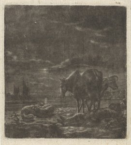 Nocny krajobraz ze śpiącym pasterzem i bydłem autorstwa Vincent Laurensz. van der Vinne (II)