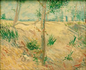 Pnie drzew w słońcu autorstwa Vincent van Gogh