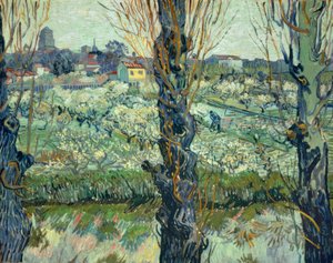 Widok na Arles autorstwa Vincent van Gogh