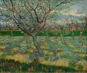 Kwitnący sad z drzewami morelowymi autorstwa Vincent van Gogh