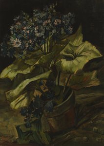 Cineraria autorstwa Vincent van Gogh