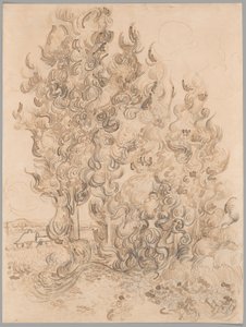 Cyprysy autorstwa Vincent van Gogh