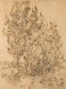 Cyprysy autorstwa Vincent van Gogh