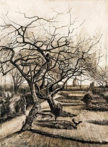 Ogród przy plebanii w Nuenen. 1884 autorstwa Vincent van Gogh