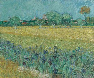 Pole z kwiatami w pobliżu Arles autorstwa Vincent van Gogh