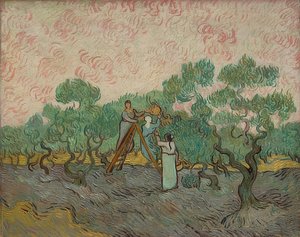Kobiety zbierające oliwki. 1889 autorstwa Vincent van Gogh