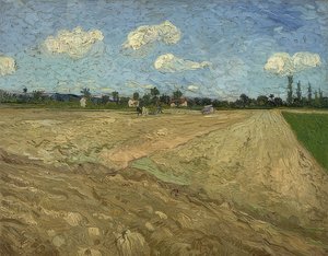 Zaorane pole (bruzdy). 1888 autorstwa Vincent van Gogh