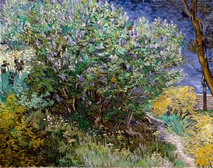 Krzew bzu. Vincent VAN GOGH (1853-1890) autorstwa Vincent van Gogh