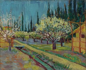 Sad otoczony cyprysami. 1888 autorstwa Vincent van Gogh